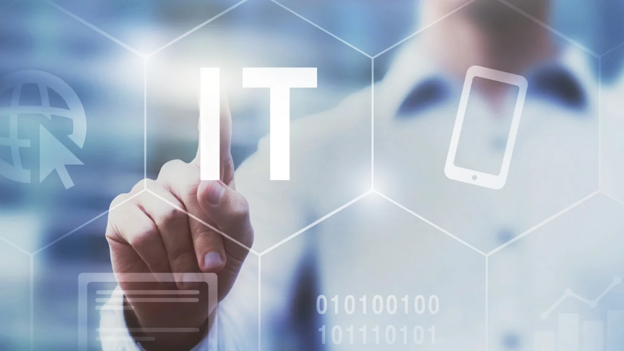 bilgi teknolojileri danışmanlığı